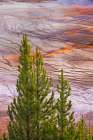 Elevated view of Grand Prismatic spring and colorful bacterial mat-Yellowstone National Park Art Print